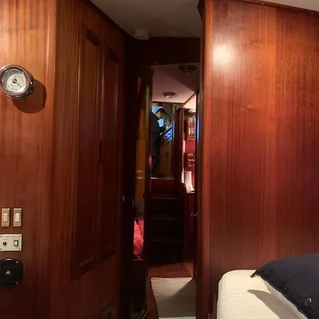Delphin 4 Odysea It