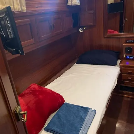 Delphin 4 Odysea It Botel