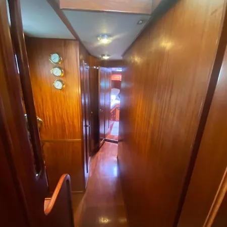 Delphin 4 Odysea It Botel *