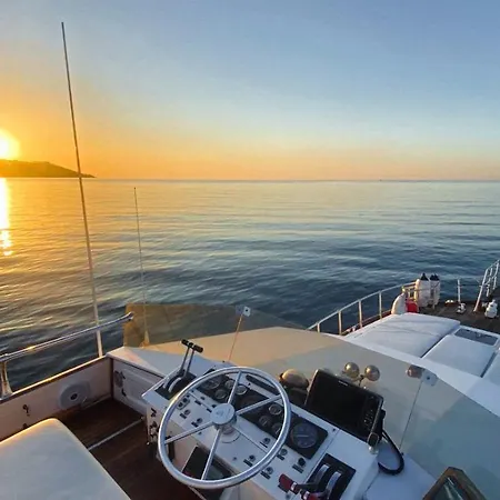 Delphin 4 Odysea It