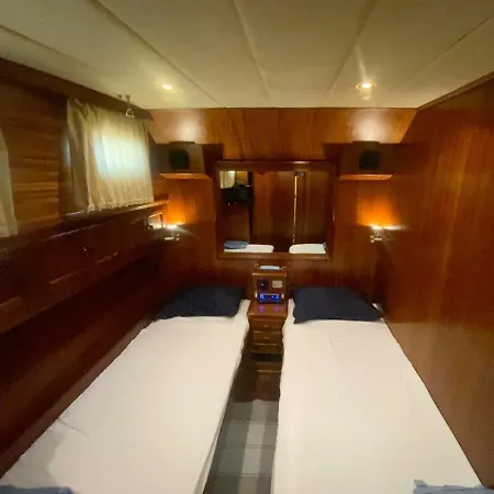 Delphin 4 Odysea It Botel