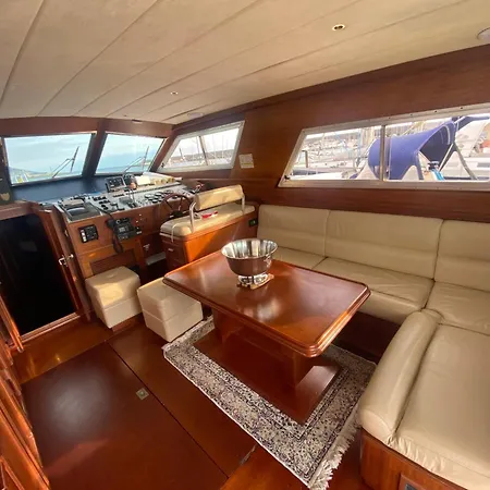Delphin 4 Odysea It
