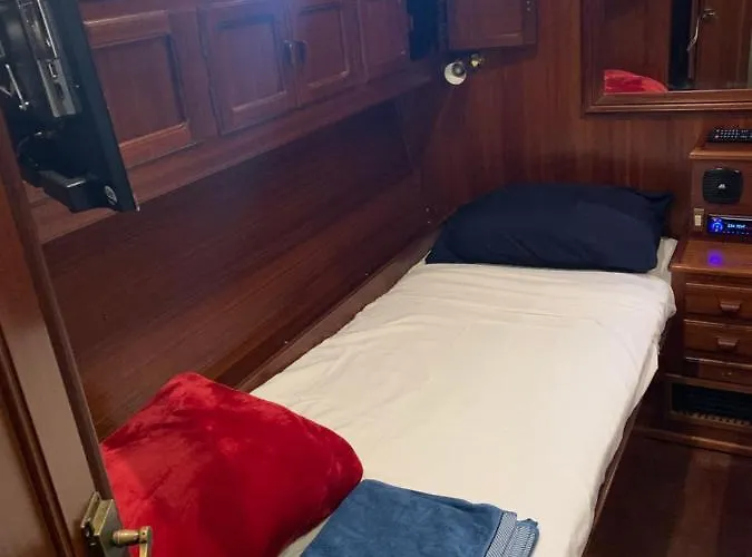 Delphin 4 Odysea It Botel