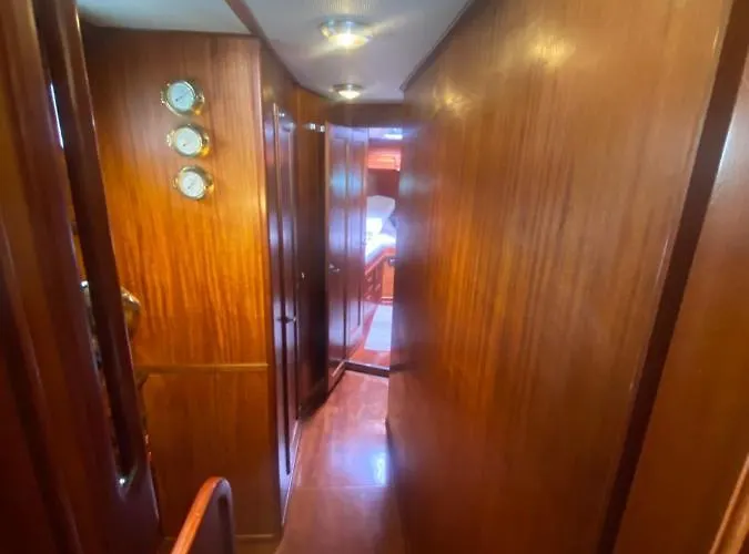 Delphin 4 Odysea It Botel *