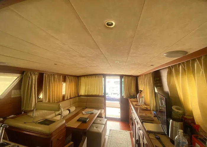 Delphin 4 Odysea It Botel