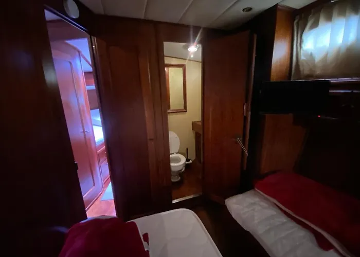 Delphin 4 Odysea It * Sanremo