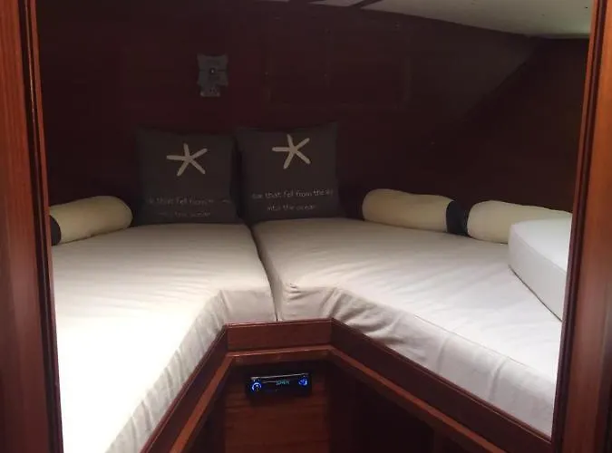 Delphin 4 Odysea It Botel