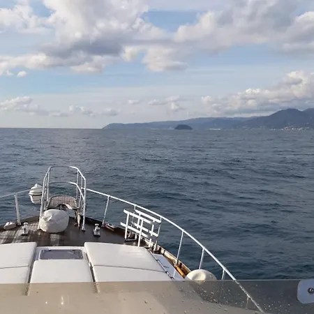 Delphin 4 Odysea It Bådhotel