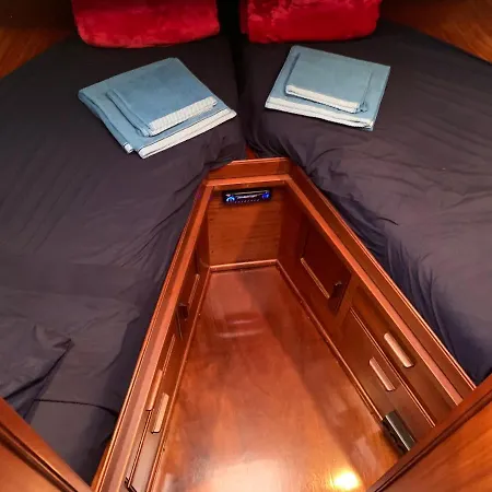 Delphin 4 Odysea It Sanremo