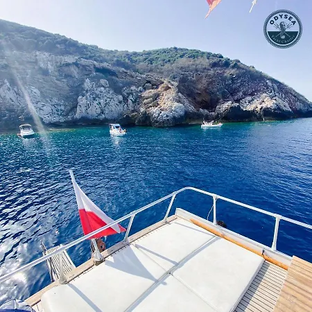 Delphin 4 Odysea It