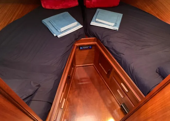 Delphin 4 Odysea It Sanremo