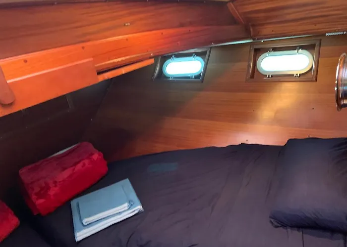 Delphin 4 Odysea It Sanremo