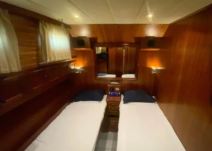 Delphin 4 Odysea It Botel