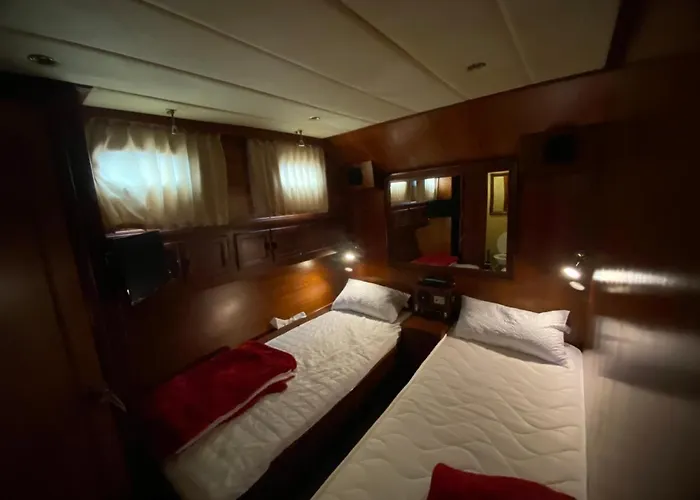 Botel Delphin 4 Odysea It