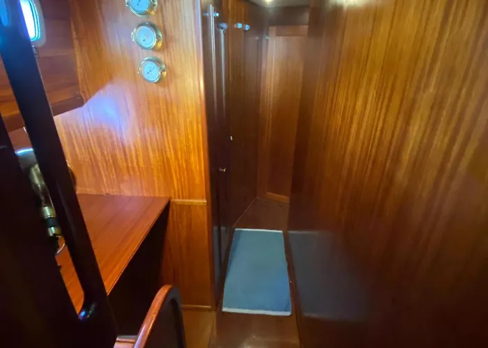 Delphin 4 Odysea It Botel